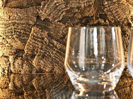 Interliving Wohnzimmer Serie 2025 - Wohnwand 